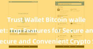 Trust Wallet Bitcoin wallet Trust Wallet: Top Features for Secure and Convenient Crypto Storage